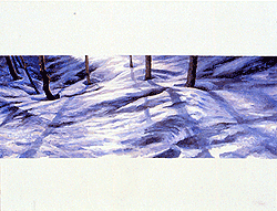 snow1