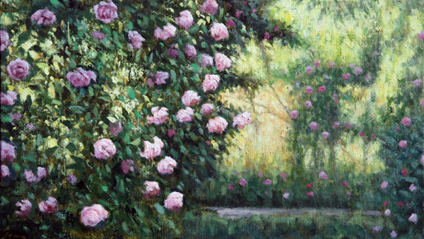 タイトル「ROSAS 咲き乱れるバラ(Retiro) 」 サイズ:19×33cm