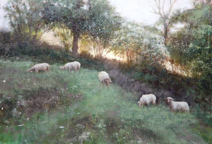 Las ovejas y amanecer　夜明けと羊